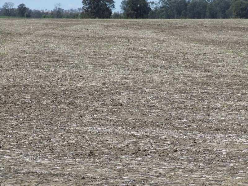 878 Blue Nobby Road, North Star NSW 2408