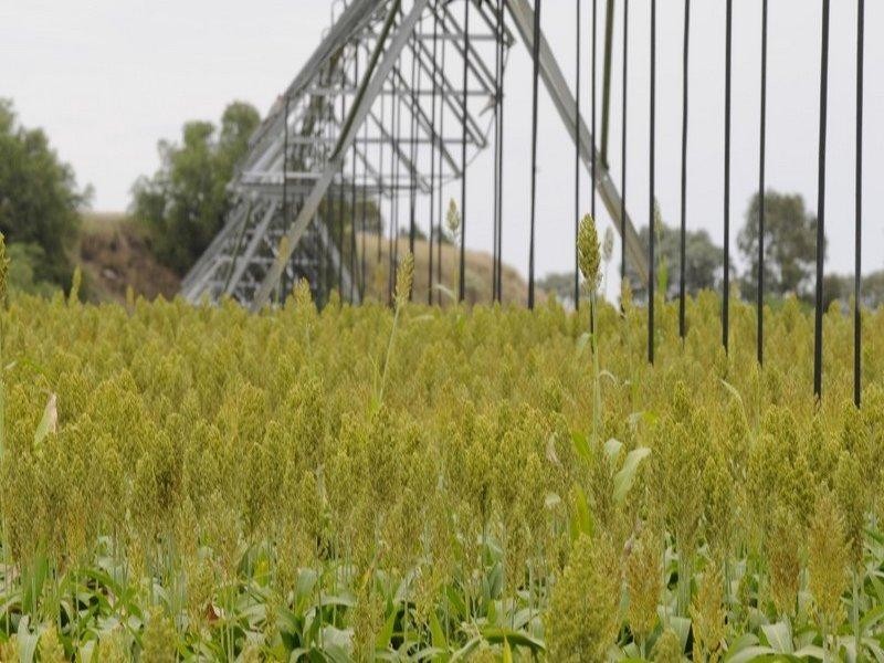 10 Coal Mine Road, Ashford NSW 2361