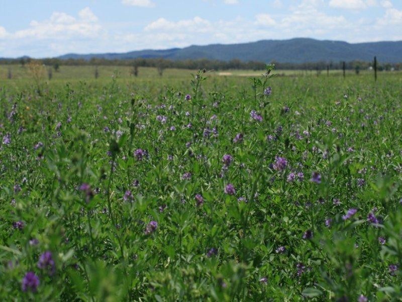 10 Coal Mine Road, Ashford NSW 2361