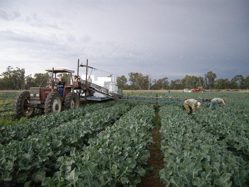 10 Coal Mine Road, Ashford NSW 2361