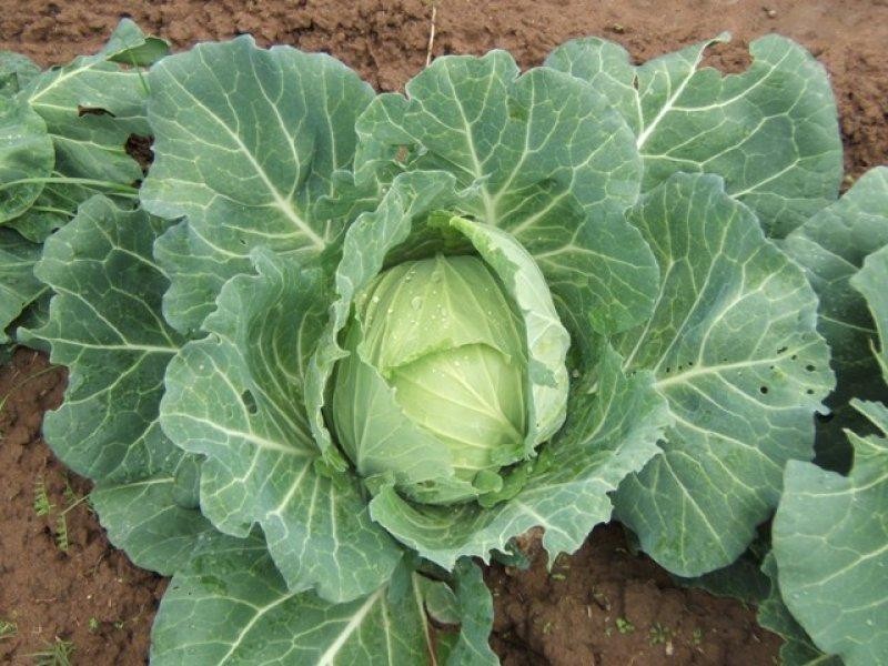 10 Coal Mine Road, Ashford NSW 2361