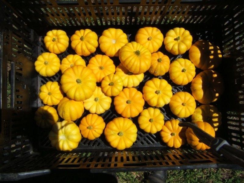 10 Coal Mine Road, Ashford NSW 2361