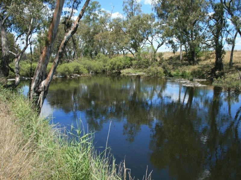 10 Coal Mine Road, Ashford NSW 2361