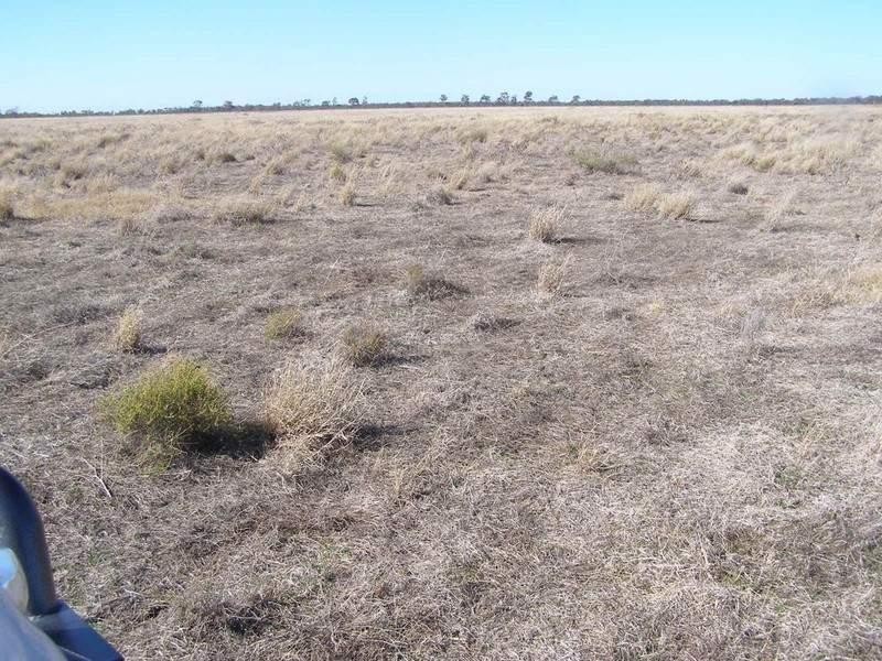 99 Holcombes Road, Goondiwindi QLD 4390