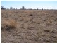 99 Holcombes Road, Goondiwindi QLD 4390