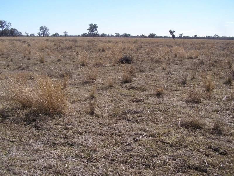 99 Holcombes Road, Goondiwindi QLD 4390