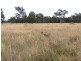 99 Holcombes Road, Goondiwindi QLD 4390