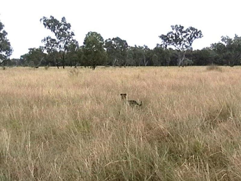 99 Holcombes Road, Goondiwindi QLD 4390