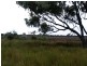 99 Holcombes Road, Goondiwindi QLD 4390