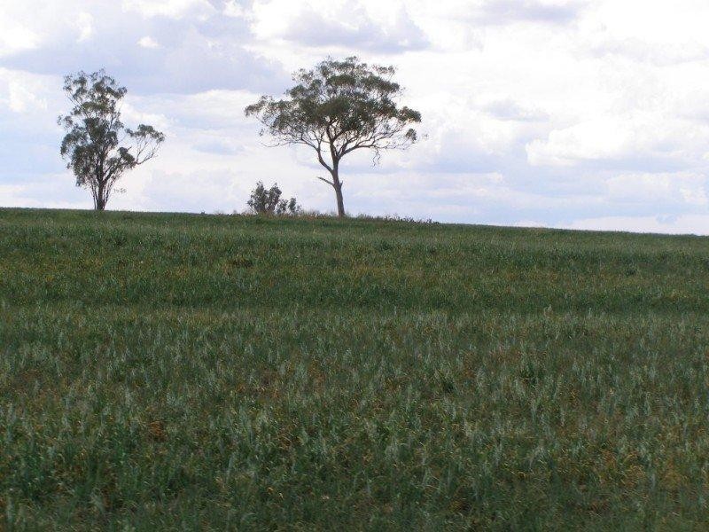 1 Burmah Road, Graman NSW 2360