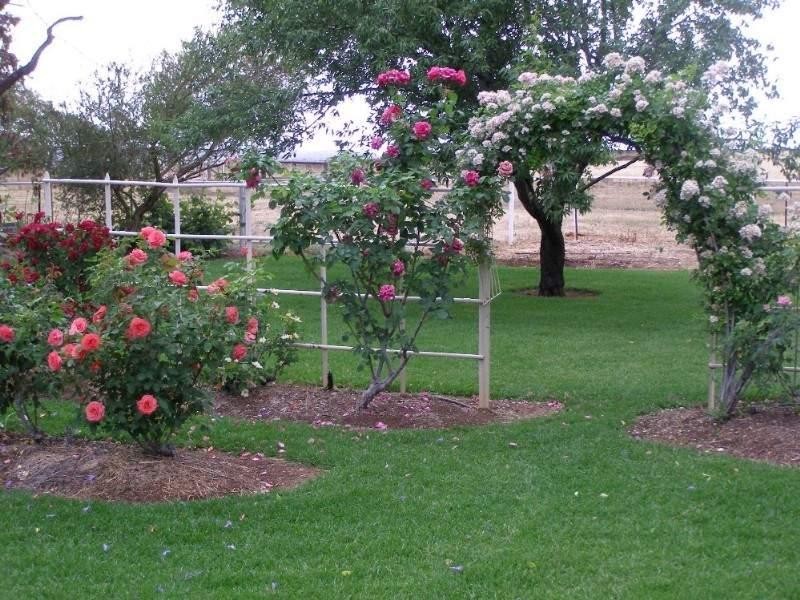 1 Burmah Road, Graman NSW 2360