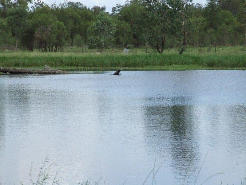 660 Mooroobie Lane, Goondiwindi QLD 4390