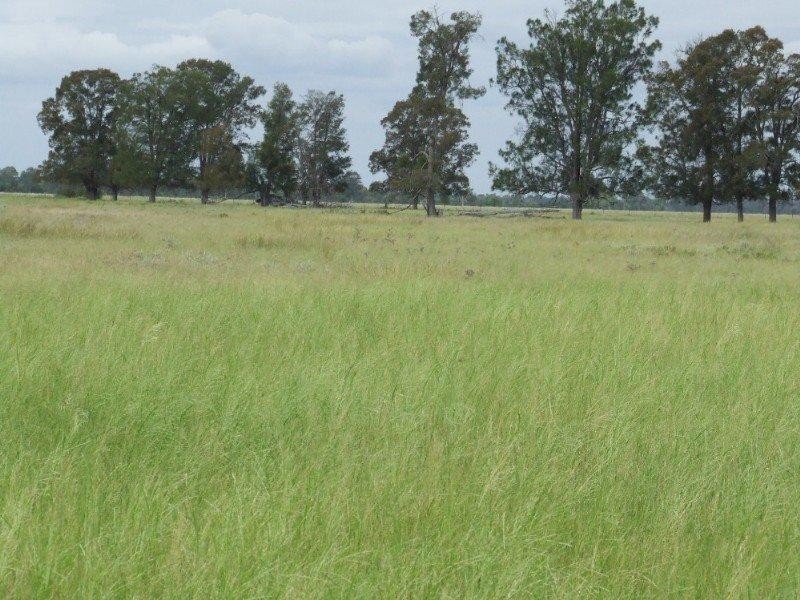 660 Mooroobie Lane, Goondiwindi QLD 4390