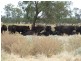 Moree NSW 2400