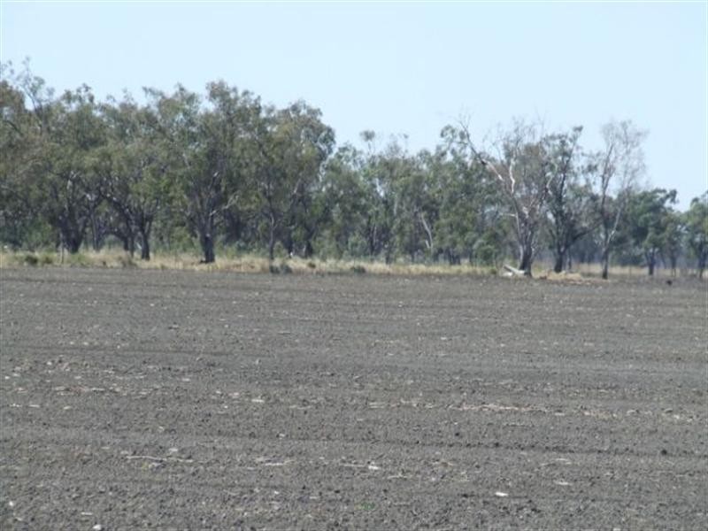 23 Willaroo Road, Boggabilla NSW 2409