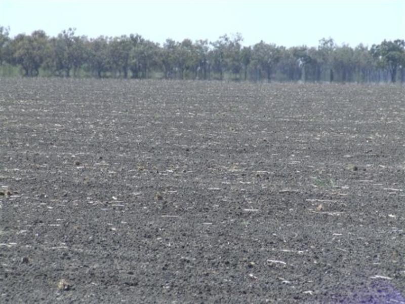 23 Willaroo Road, Boggabilla NSW 2409