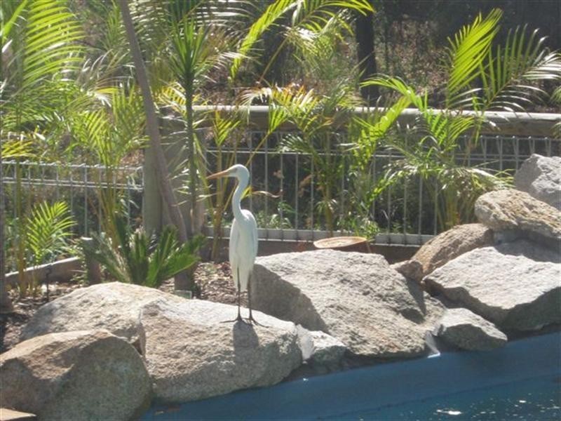 62 B McLean, Goondiwindi QLD 4390