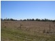 lOT 10 POLO Road, Goondiwindi QLD 4390