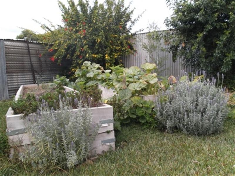 2 Ferguson Street, Goondiwindi QLD 4390