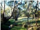 180 Glenoak Road, Goondiwindi QLD 4390