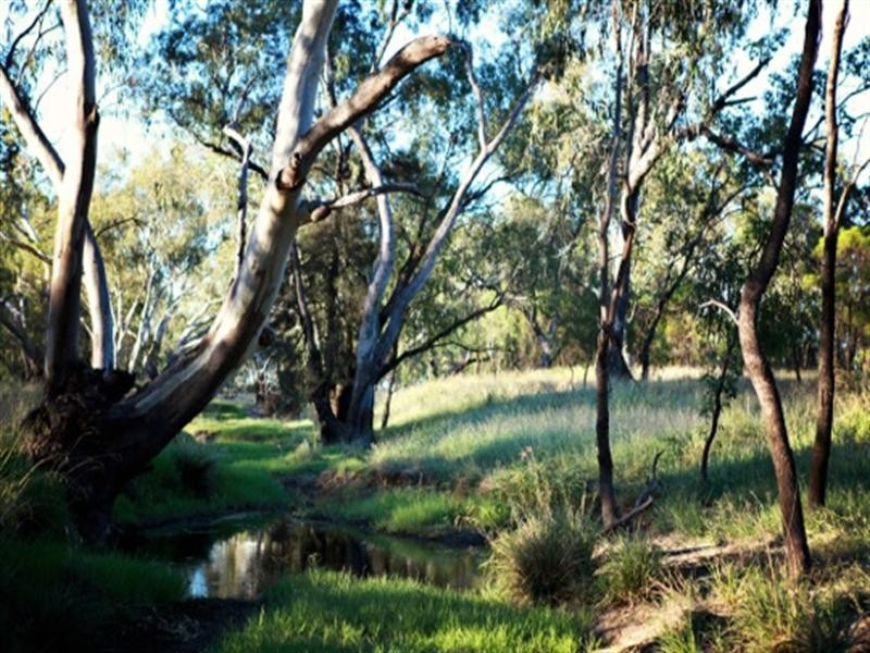 180 Glenoak Road, Goondiwindi QLD 4390
