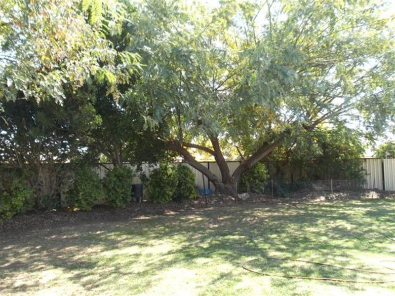 21 Thoras Parade, Goondiwindi QLD 4390