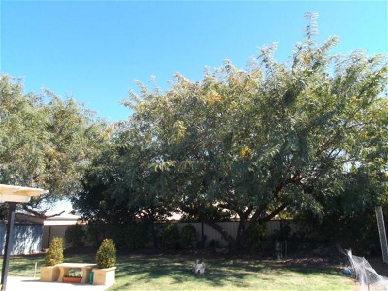 21 Thoras Parade, Goondiwindi QLD 4390