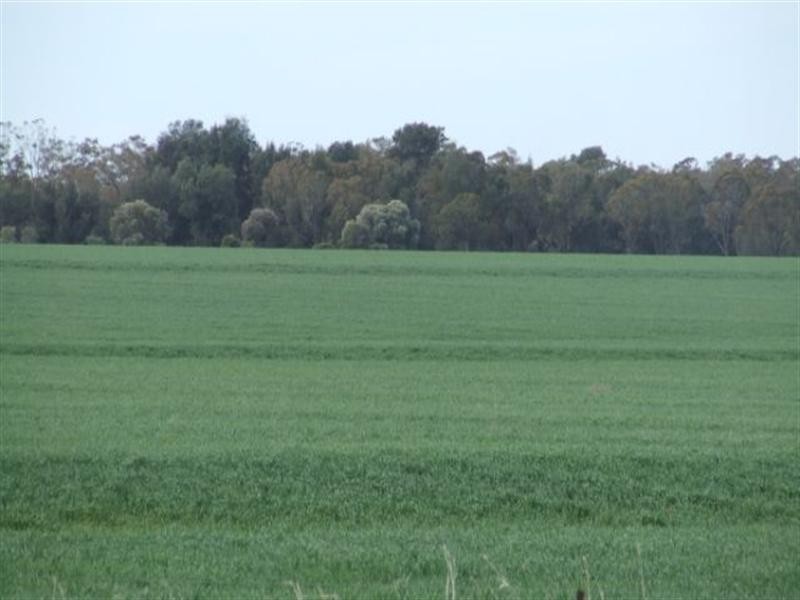 543 Forest Creek Road, North Star NSW 2408