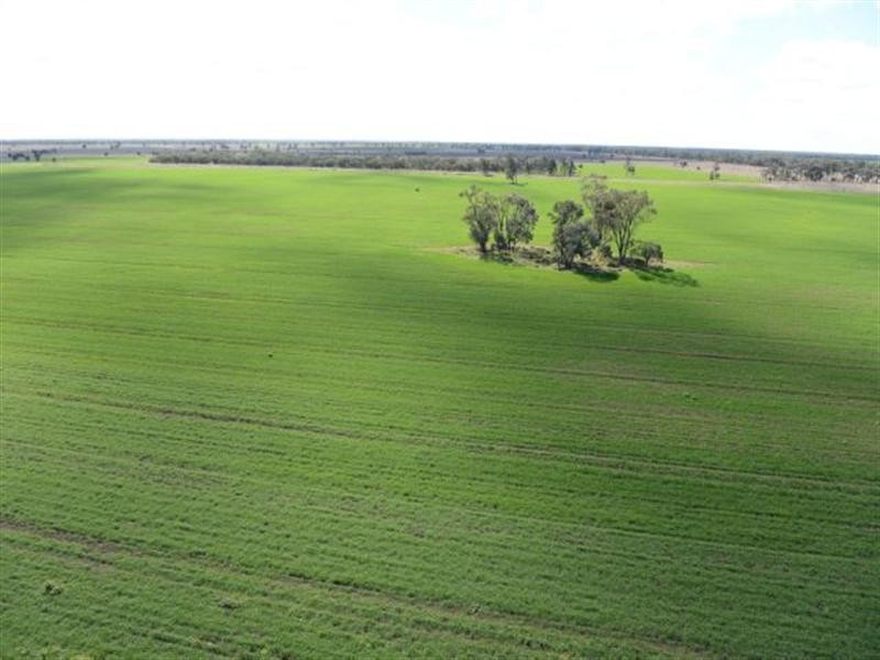 543 Forest Creek Road, North Star NSW 2408