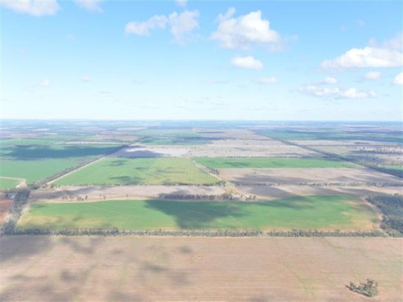 543 Forest Creek Road, North Star NSW 2408