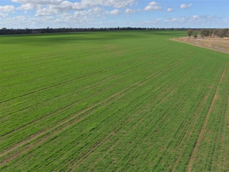 543 Forest Creek Road, North Star NSW 2408