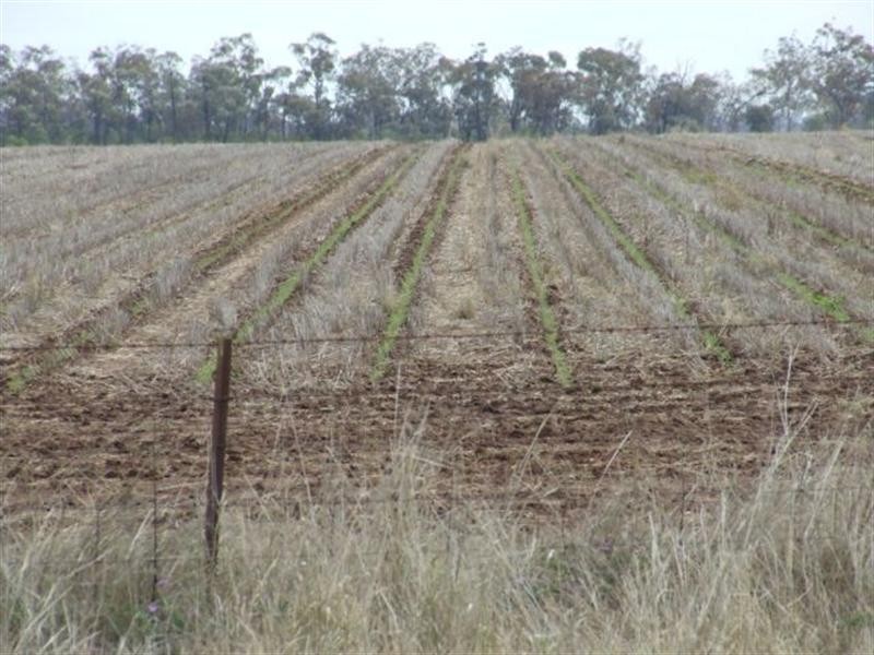 543 Forest Creek Road, North Star NSW 2408