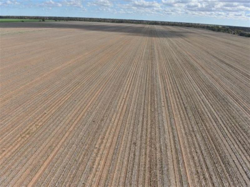 543 Forest Creek Road, North Star NSW 2408