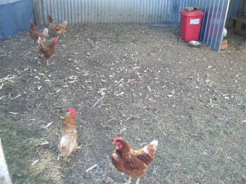 Lot 7 Leichardt Highway, Goondiwindi QLD 4390