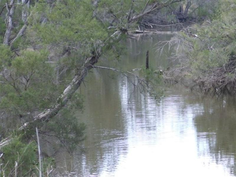 20 Cunningham Highway, Goondiwindi QLD 4390