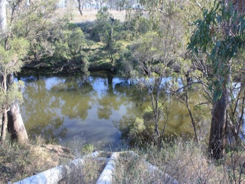 20 Cunningham Highway, Goondiwindi QLD 4390