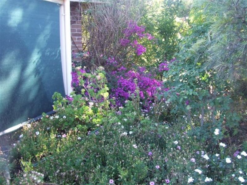 Goondiwindi QLD 4390