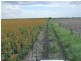 Tulloona NSW 2400
