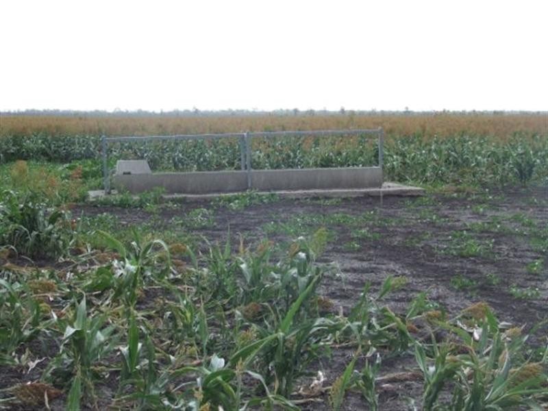 Tulloona NSW 2400