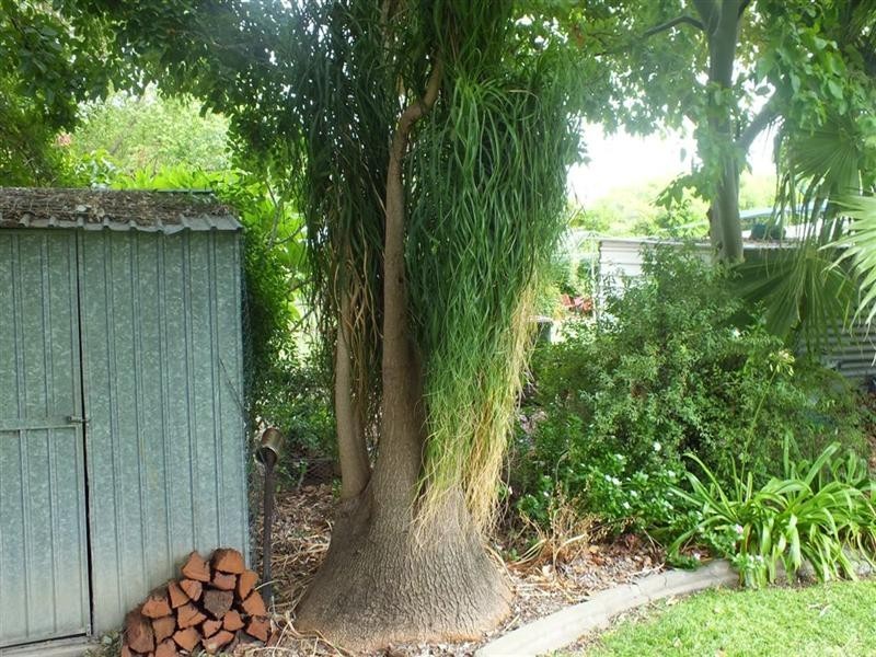 100 Callandoon Street, Goondiwindi QLD 4390