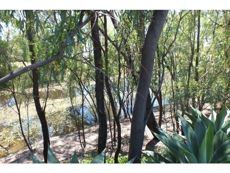 15 Ardmore Court, Goondiwindi QLD 4390