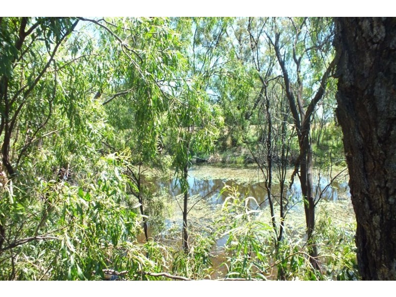 15 Ardmore Court, Goondiwindi QLD 4390