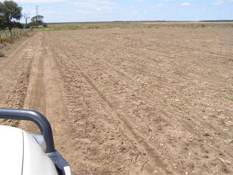 “Taraweir” Rockwood Road, Goondiwindi QLD 4390