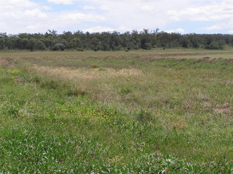 “Taraweir” Rockwood Road, Goondiwindi QLD 4390