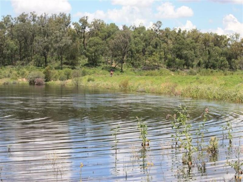 “Taraweir” Rockwood Road, Goondiwindi QLD 4390