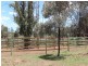 “Taraweir” Rockwood Road, Goondiwindi QLD 4390