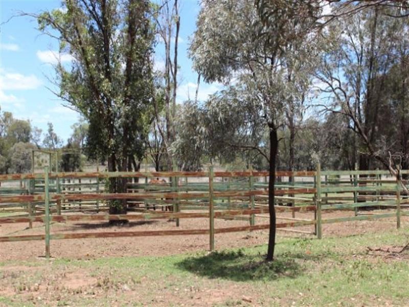 “Taraweir” Rockwood Road, Goondiwindi QLD 4390
