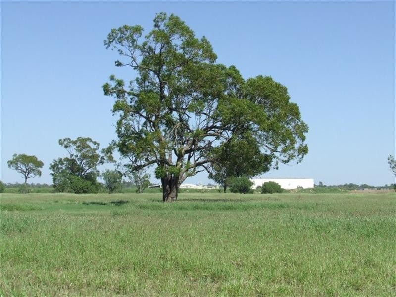 66 Kildonan Road, Goondiwindi QLD 4390