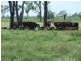 66 Kildonan Road, Goondiwindi QLD 4390