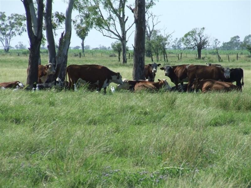 66 Kildonan Road, Goondiwindi QLD 4390